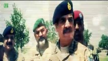 Operations to continue till Pakistan is terror free, says COAS General Raheel Sharif
