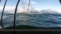 Şimdiye kadar kaydedilen en Korkunç ve en net köpek balığı saldırı görüntüsü