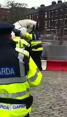 HORSE HUMPING A COPPER @ HORSE FAIR SMITHFIELD