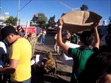 Animalistas agredidos por empleados del circo Chino de Pekin en Aguascalientes, México