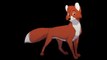 Tod The Fox Sings 
