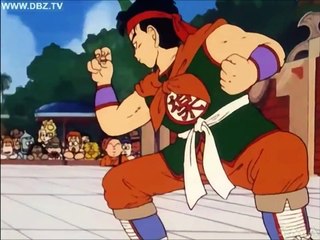 Dragon Ball: Kung Fu Fighting