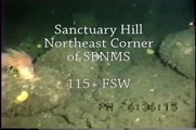 Dive Site: Sanctuary Hill in Stellwagen Bank Sanctuary