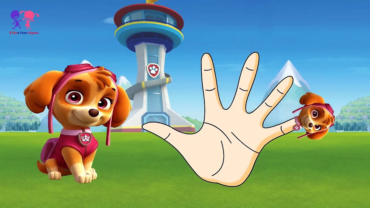 Paw Patrol Finger Family Nursery Rhymes Paw Patrol Cartoon Animated English Rhymes for Kids
