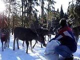 The Deer Whisperer