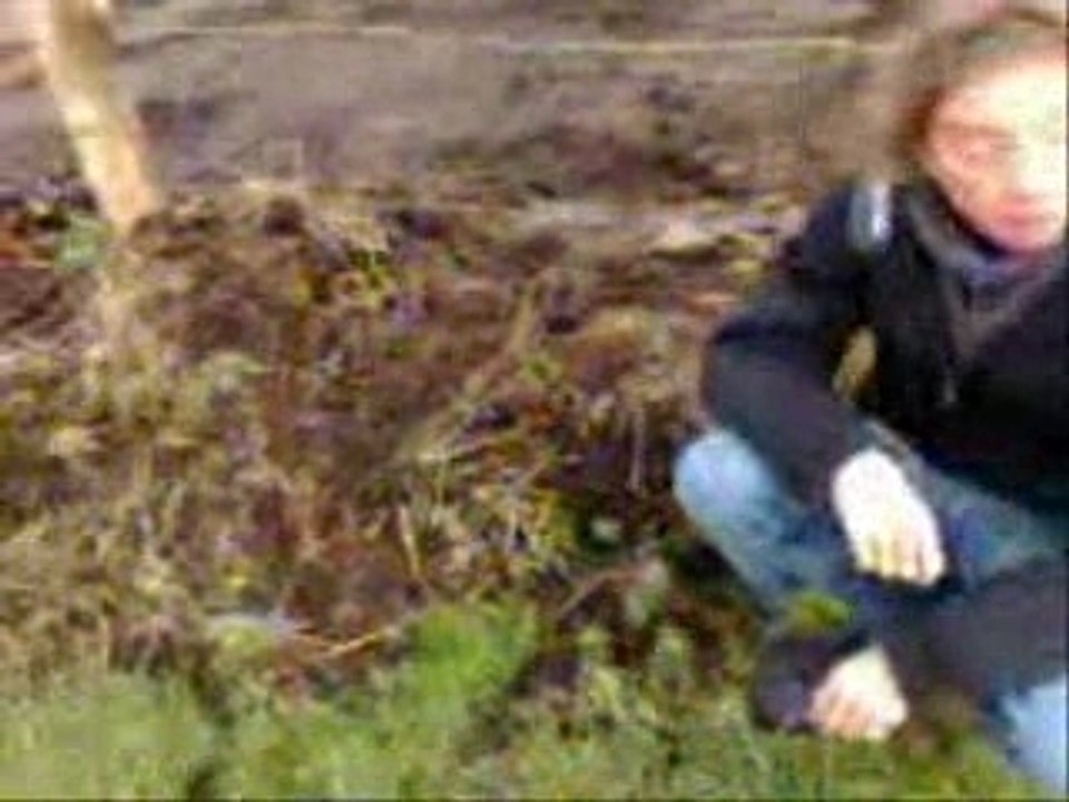 Parodie Marily Gomont