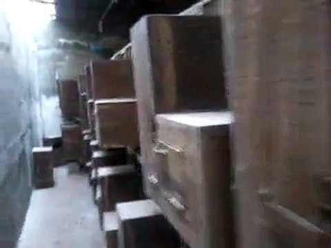 Macaw , Australian gray parrot ,Cocktail birds , Fisher , latino , Australian bajri How to breed and other information (7)