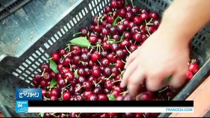 طبخ: حساء الكرز مع الفواكه الحمراء ..طبق مميز في إسبانيا!!