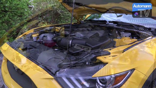 2016 Ford Mustang GT (421hp) - DRIVE & SOUND (60 fps)