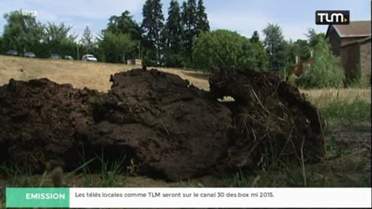 Concours de lancer de bouses à Vaugneray