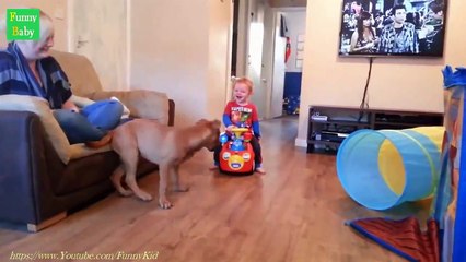 Funny Kids And Animals - Babies And Animals - Best Funny Baby Videos Compilation2015