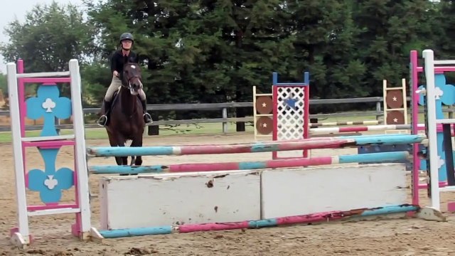 Trying horses in California