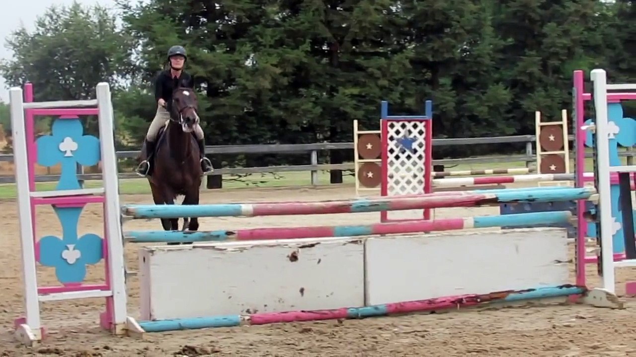 Trying horses in California