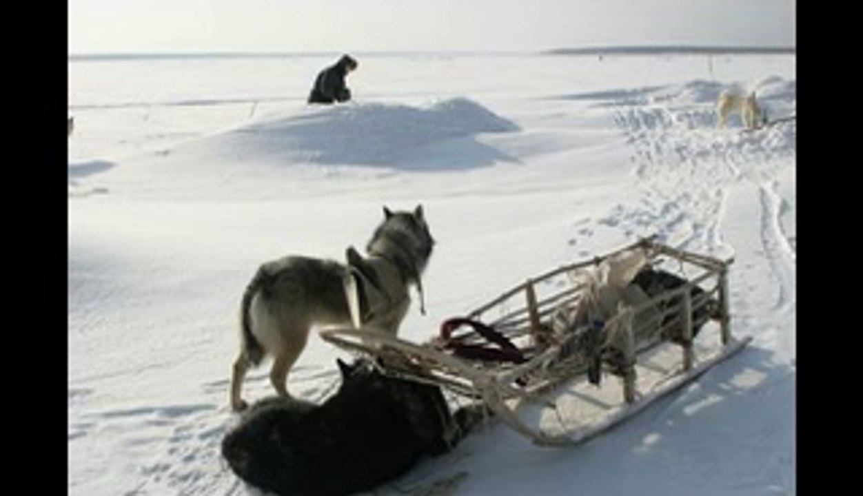 Happy People: A Year in the Taiga (2010) Full Movie HD Quality