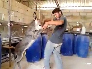 Ghady kay sath Dans-www.dailymotion.com/humsab561