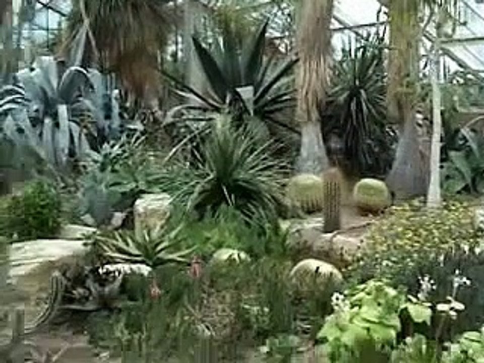 Kew Gardens & Kew Palace