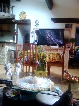 Macaw , Australian gray parrot ,Cocktail birds , Fisher , latino , Australian bajri How to breed and other information (45)