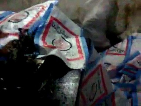 Macaw , Australian gray parrot ,Cocktail birds , Fisher , latino , Australian bajri How to breed and other information (39)