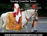 Indian Wedding Horse and Cinderella Carriage - Indian Wedding 12 - Carriage Limousine Service