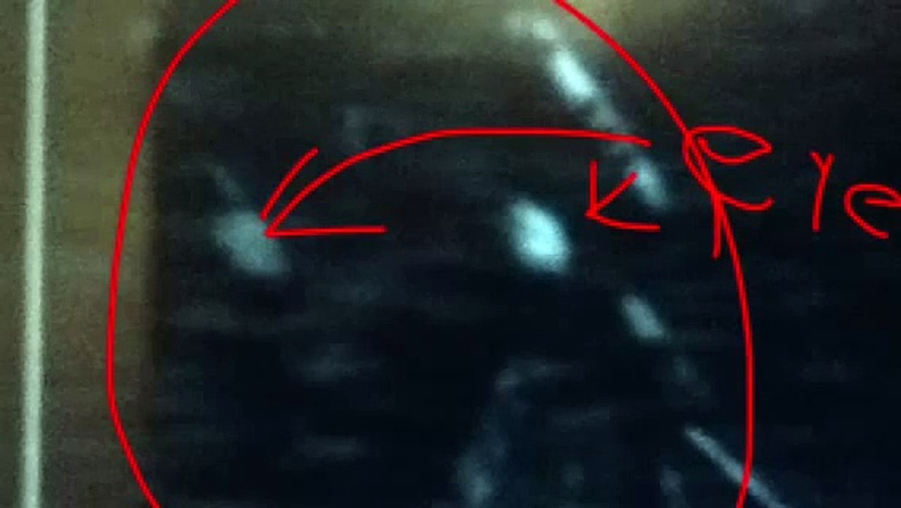 Fnaf-Bonnie is the endoskeleton? Fnaf1 theory