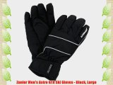 Zanier Men's Astro GTX Ski Gloves - Black Large
