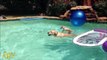 Labrador mom helping puppy to cross the pool - Adorable pet