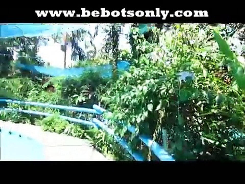 La Roca Resort Hot Springs Pansol Laguna Philippines Summer w/BebotsOnly