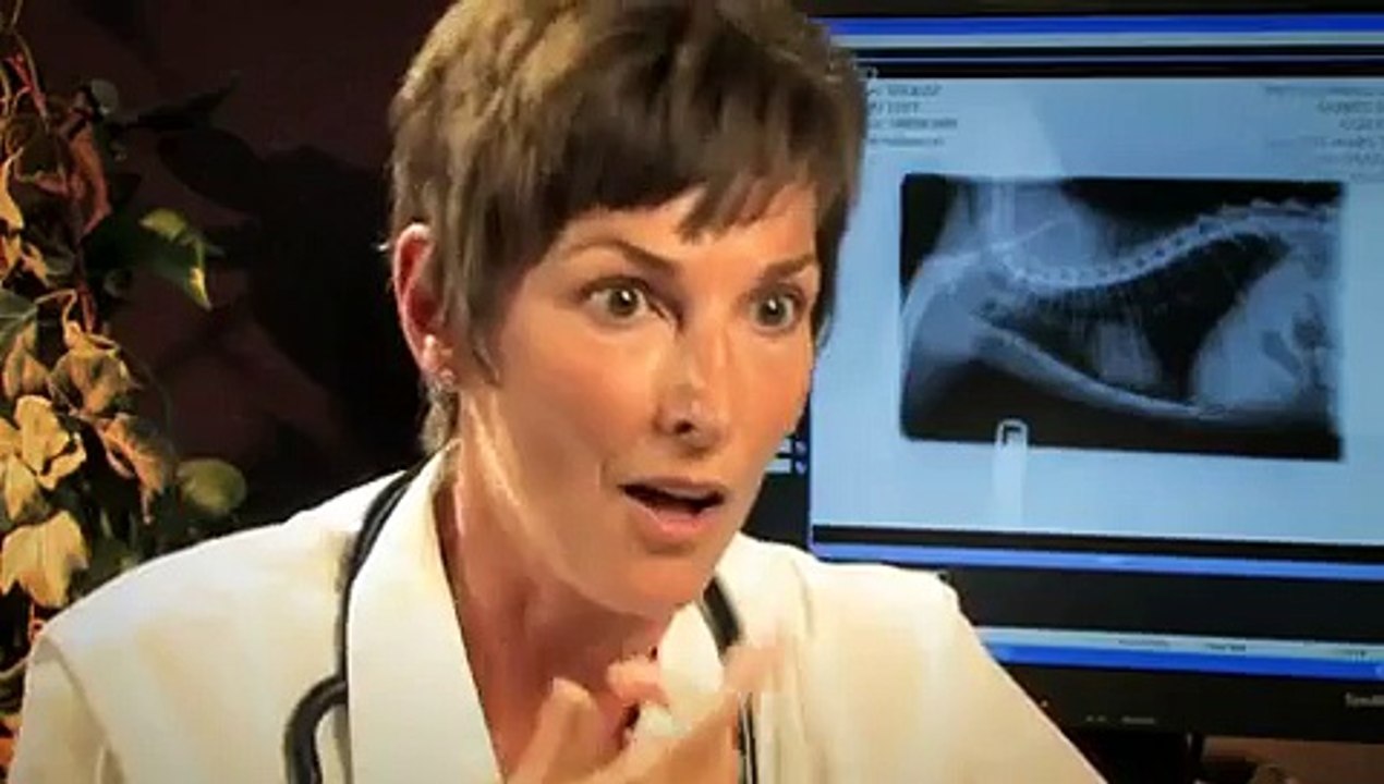 Feline Squamous Cell Carcinoma