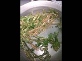 Jamaican Herb That Kills cancer cells, Guinea hen weed. Anamu cleaned block tube