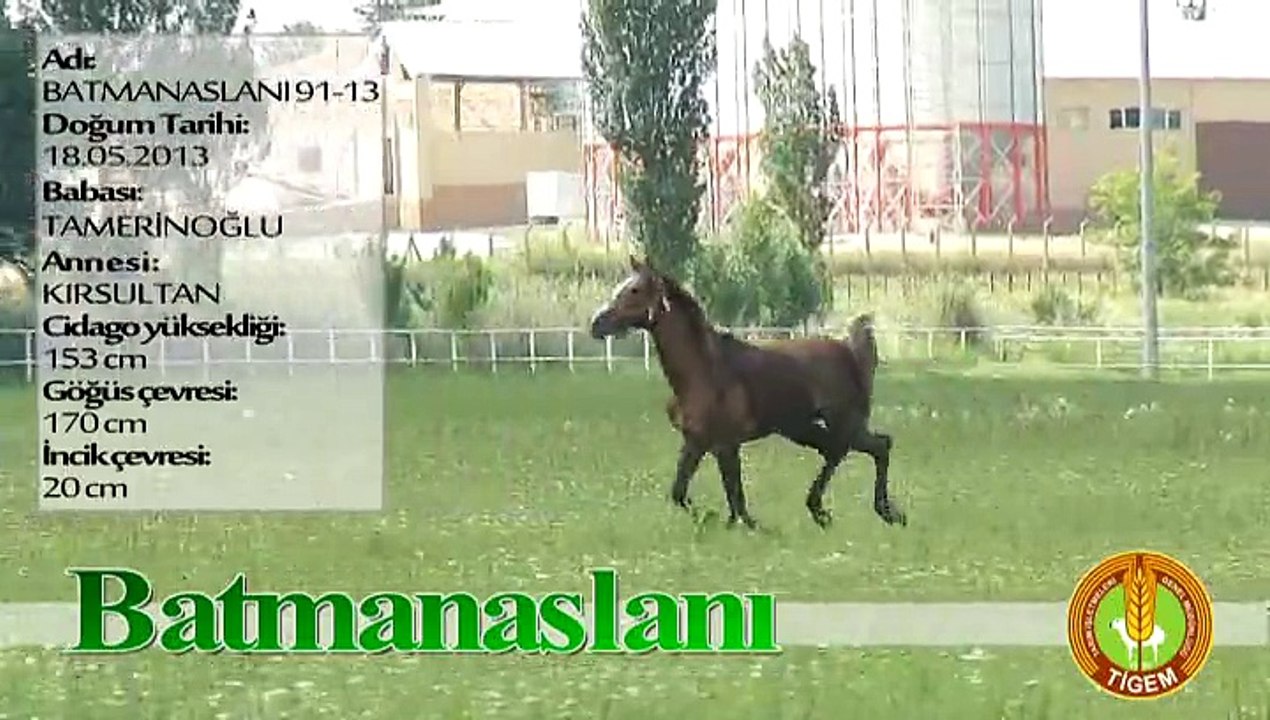 BATMANASLANI