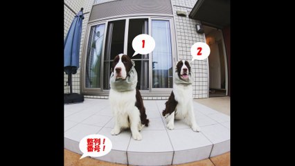 Event of Happy sunday