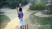 dog playing cricket amazing.