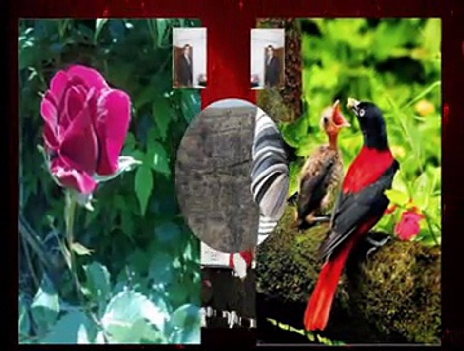 Emre SALTIK - Yıkılsın Sebebim