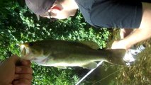 fishing komoka ponds southern ontario bass