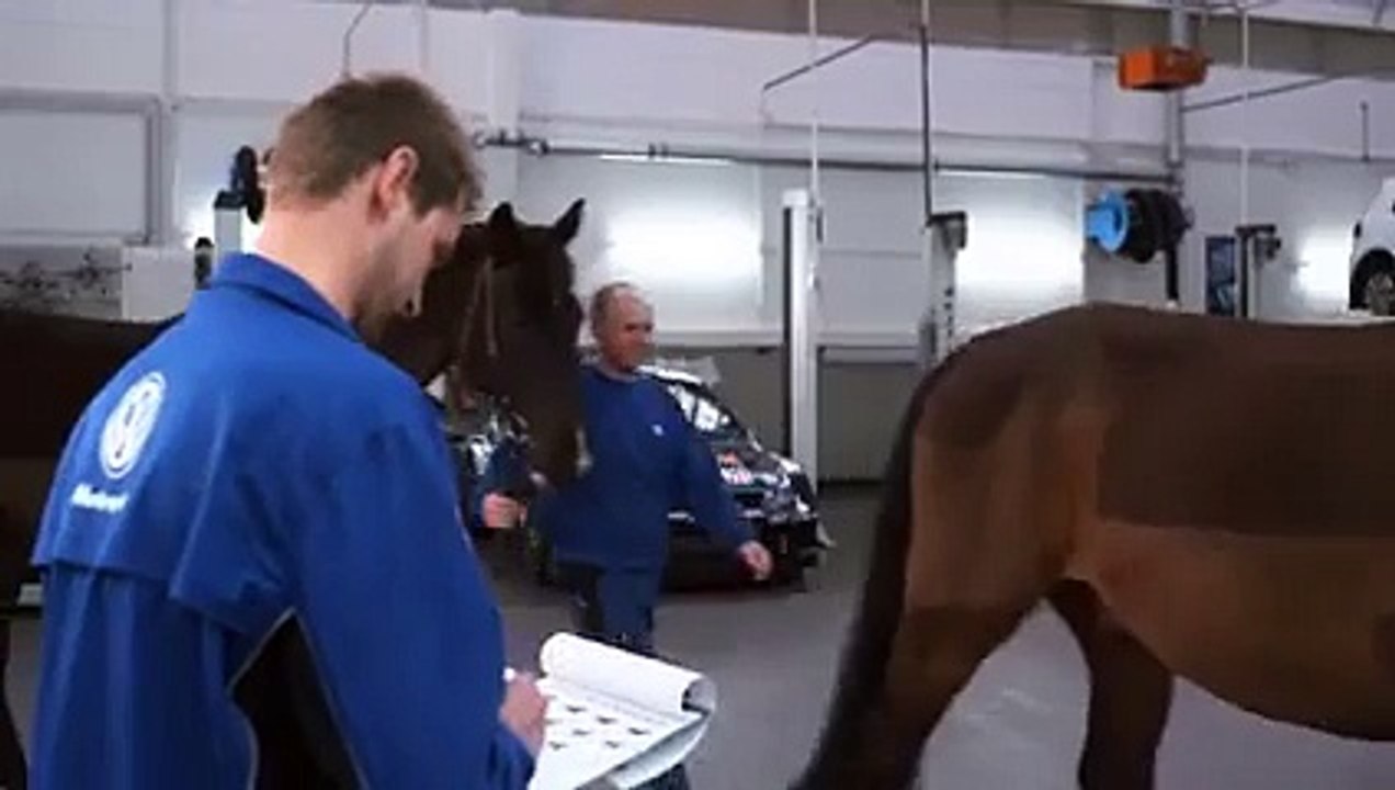 Next time more horse power