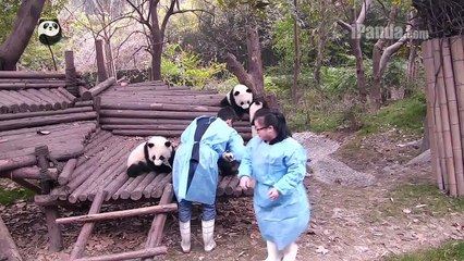Piggy back ride