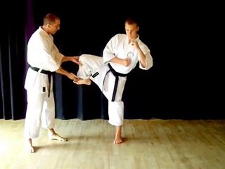 Learn karate online, BASIC KICKS