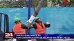 Municipalidad de Lima inició traslado de árboles por obras del By pass de 28 de Julio