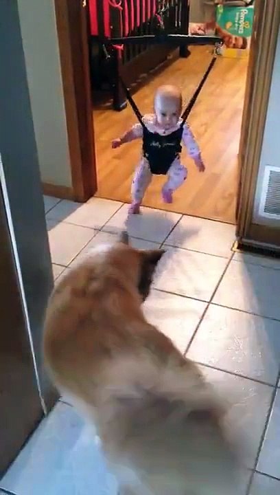 This is too cute. Dogs are so smart ...