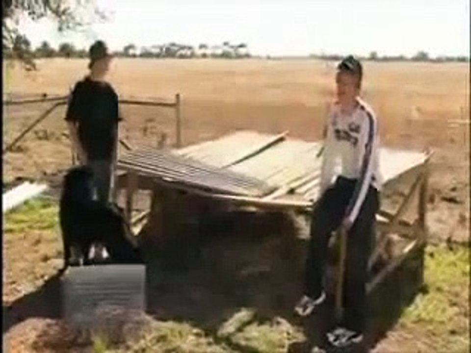 Daniel and Nathan Sims - Backyard Tour (Chris Lilley)