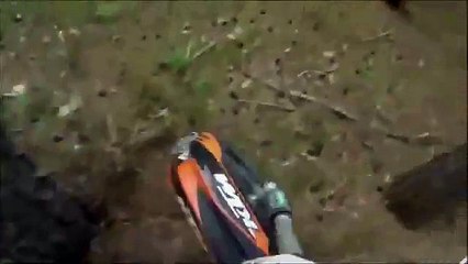 ORMANDA GİDERKEN AYIYA ÇARPTI!