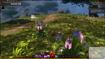 Is Guild Wars 2 Going To Fill Our WOW Gap? (Live Stream)
