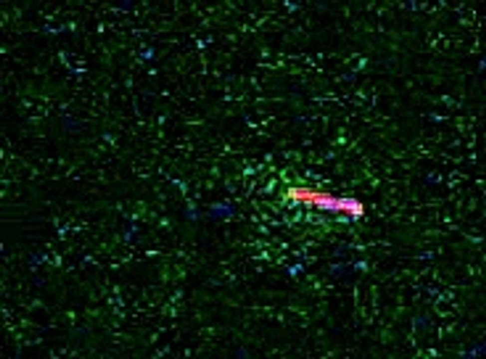 UFO
