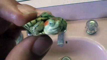 Pastel Red Ear Slider Update