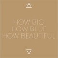 Florence   The Machine - How Big, How Blue, How Beautiful (Live at Coachella 2015 Audio Hq)