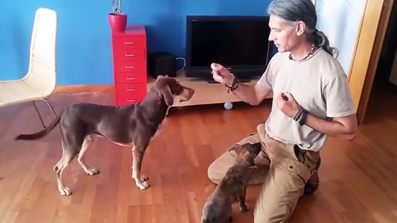 2015 Enseñando a Coco