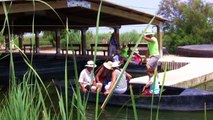 Excursión con carruaje de caballos Frisones por el Delta del Ebro