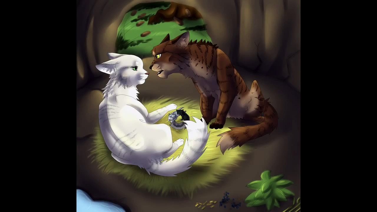 Top 8 Saddest Warrior Cat Kit Deaths - video Dailymotion