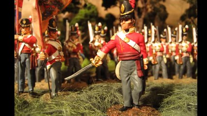 Battle of Waterloo Diorama