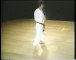 Shotokan Karate Kata 14 Jitte - Kanazawa